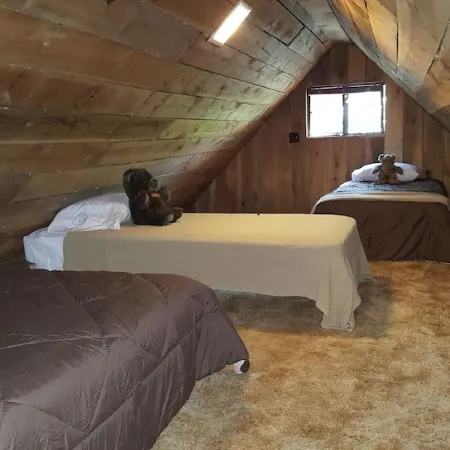 Seven Springs Cabin - Bear Claw Chalet - Authentic, Pet Friendly Log Cabin