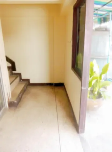 สเตย์ ออน มายา