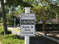 Sea Colony, Walk to Beach & Tennis--Beautiful, Sparkling Clean Getaway!