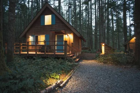 🏔 Blue Ox Basecamp Cabin: WiFi, Hot tub, Fireplace by Mt Rainier National Park