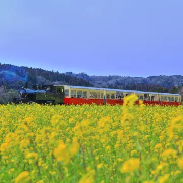 Tabist Daibo Ichihara (Men Only)