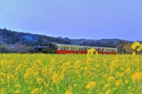 Tabist Daibo Ichihara (Men Only)