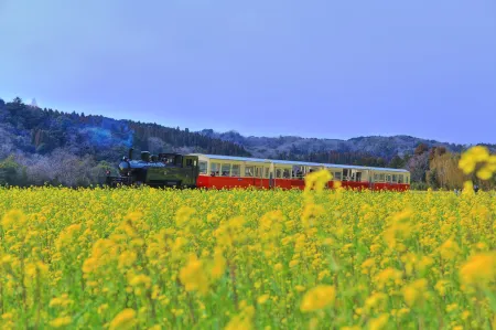 Tabist Daibo Ichihara (Men Only)