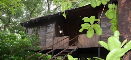 Tiger N Woods Отели рядом с достопримечательностью «Национальный парк Пенч»