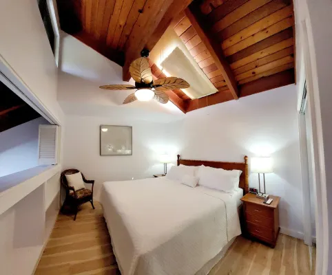 Newly Remodeled Tropical Resort