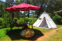 Kidrak Camping Namaste Hôtels à proximité de : Butterfly Valley