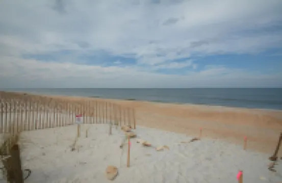 Just Beachy A Luxury Retreat Sleeps 12 3 Levels with Elevator- Perfect for 1-3 Families Travelin