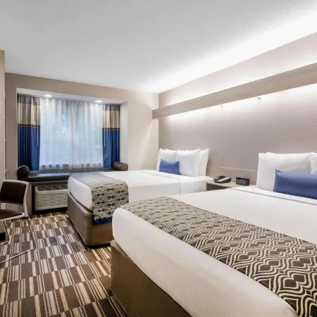 Microtel Inn & Suites by Wyndham Atlanta/Buckhead Area