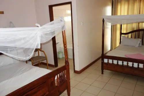 Satellite Hotel - Wifi