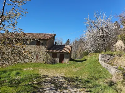 - Agriturismo la Piaggia - Forest View Apartment on the Ground Floor 2 Guests فنادق في أرسيدوسو