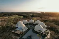Alaya Yoga & Surf & Retreat Hotels in 