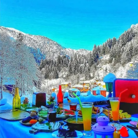 Ayder Elizan Dağ Evleri Отели в г. Yukarisimsirli Koyu