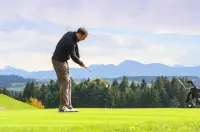 호텔 알가우 가르니