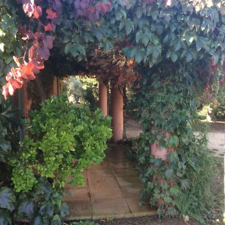 The Yurt located in beautiful O'Connell