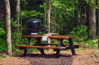 Dog-friendly cabin with covered porch, patio, firepit, fireplace, & grill