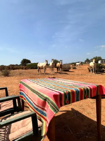 Michas caravan for 2 See the herd of horses from your bed