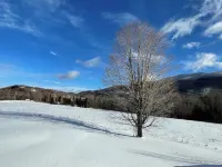 Spacious, pet-free mountain retreat perfect for hosting groups on 15 acres Hotels in Waterbury