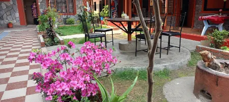 Pokhara Metro Eco Hotel