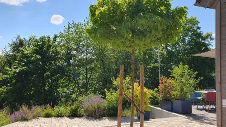 Odenwald Lodge with Infrared Sauna and "Haus Purpur" e-Charging Station Отели в г. Оденвальд