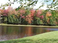 Deerfield Valley Inn Hotels in Windham County