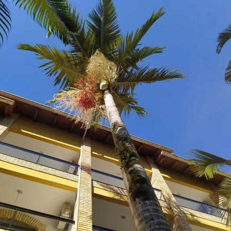 Hotel Joao de Barro
