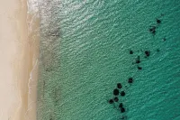 Golden Sand Villas with Private Pool - ヴィラ