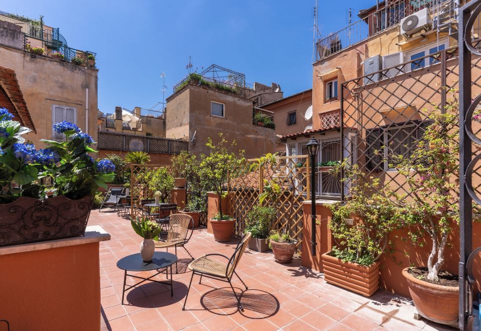 2. 테리에 벨시아나..