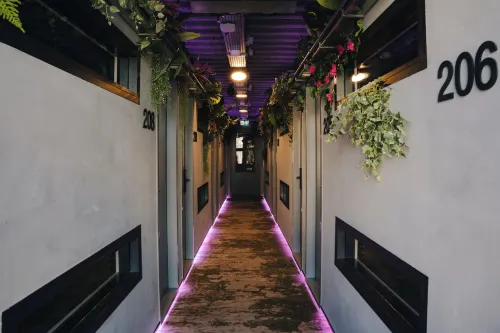 THIS HO(S)TEL - Hostels