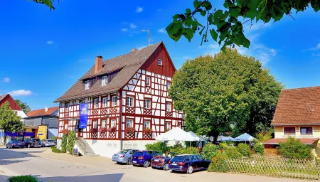 Hotel-Gasthof Adler Отели в г. Нойкирх