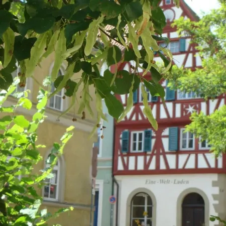 Bayerischer Hof