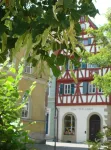 Bayerischer Hof Hotels in der Nähe von Kirchheim (Unterfr)