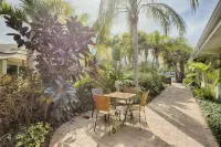Hotel Sol Hotels in Indian Shores