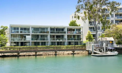 Jacaranda Noosa