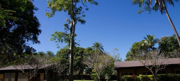 Tanoa Skylodge Hotel Hotels in Nadi