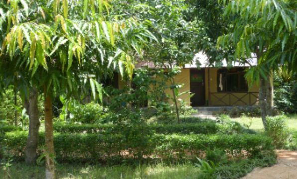 Nature Safari Resort