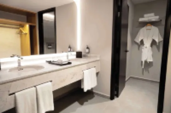 ヒルトン メキシコシティ エアポート のホテル