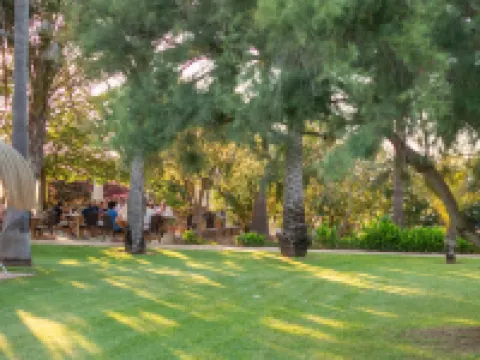 Finca Hotel Can Canals & Spa Hoteles en Campos