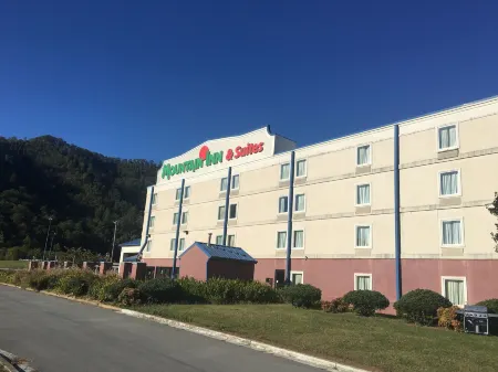 Mountain Inn & Suites Отели в г. Брадшо