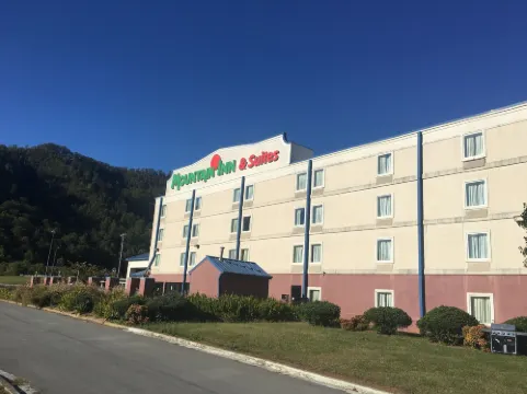 Mountain Inn & Suites Hotel di Erwin