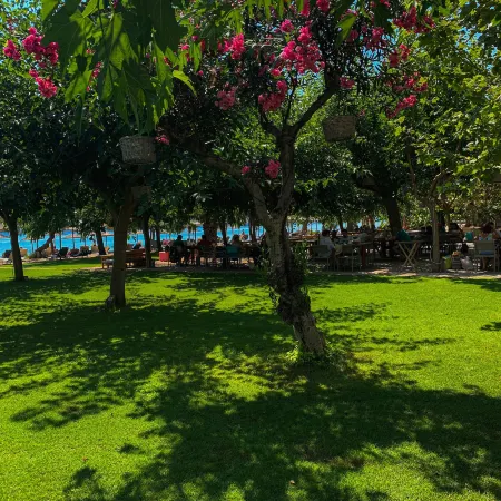 Zoe Seaside Resort