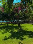 Zoe Seaside Resort