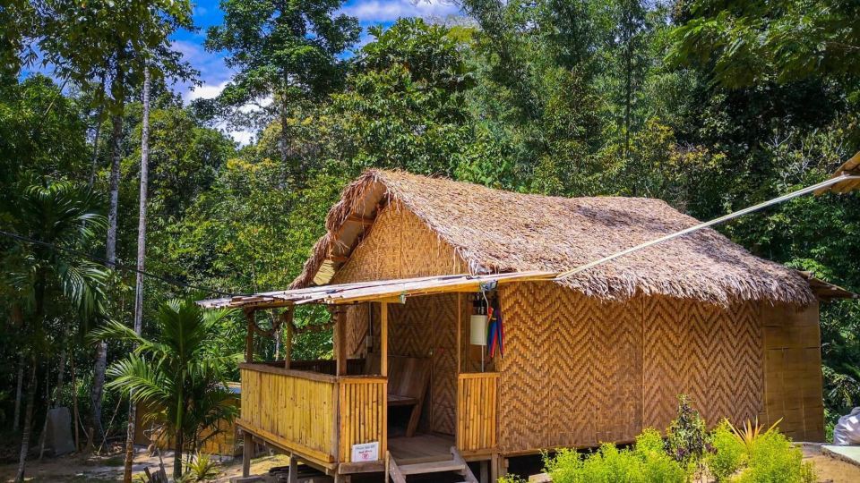 Rain Forest Inn