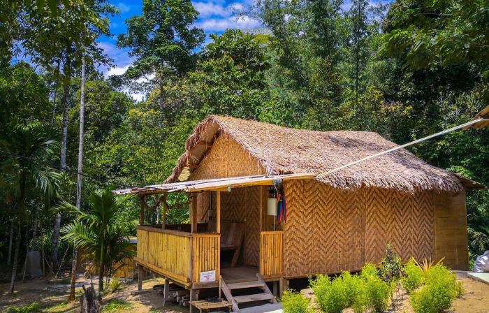 Rain Forest Inn