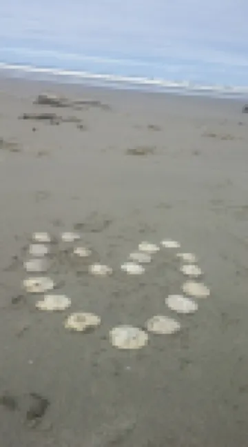 夏克蒂灣小屋酒店