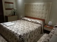 B&B Panoramic