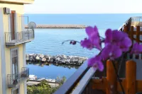 Attico 195 - Ocean View