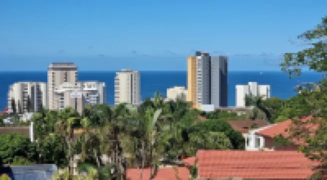 Crooked Tree Cottage