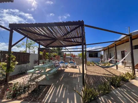 Royal Rat Hostel Отели в г. Surfside