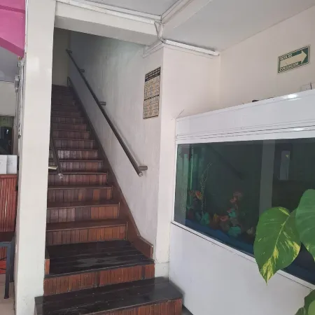 Hotel Cancún Rosa