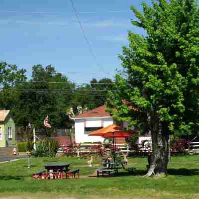 Jumping Frog Motel Hotel Exterior